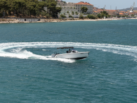 A speedboat navigates through the sparkling waters, showcasing an exciting day on the water with scenic coastal views in the background.