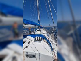 Sailors actively working on a yacht, enjoying a sunny day on the water — a perfect scene for sailing enthusiasts.