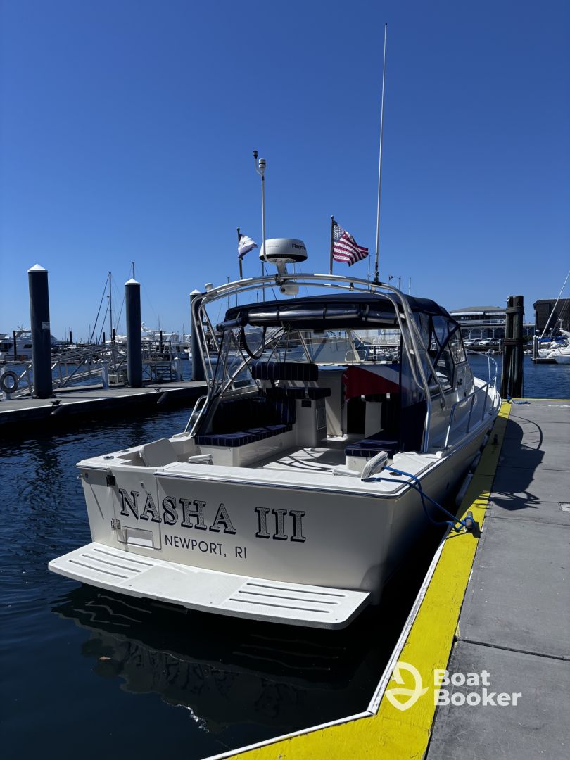 Newport Yacht Charters