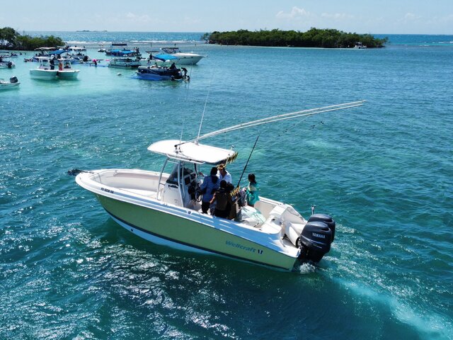 Listing image 1145990