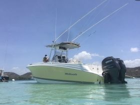 A person enjoys a sunny day aboard a Wellcraft boat, perfect for fishing or leisure on the clear waters.
