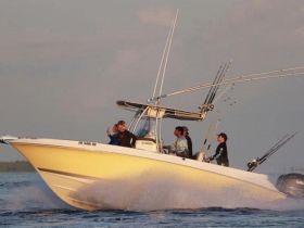Charter Image