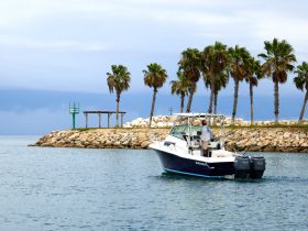 A boat navigates through calm waters near a rocky shoreline adorned with palm trees, showcasing a serene coastal experience.