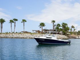 A sleek speedboat navigates the calm waters near a palm-lined dock, showcasing the perfect setting for a day on the water.