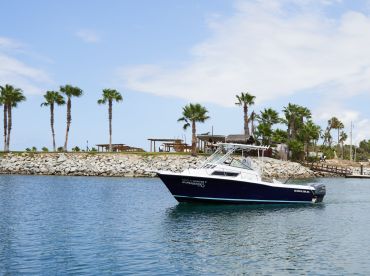 Experiences Cabo
