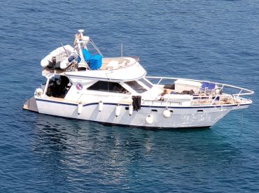South Sea Charters