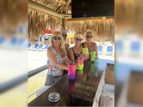 A cheerful group of friends enjoys cocktails at a beach bar, capturing the essence of fun and relaxation in a tropical setting.