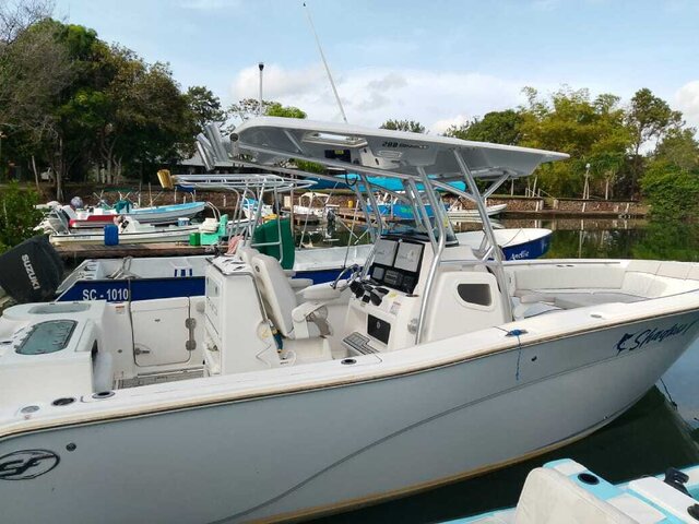 Listing image 1202809