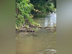 A partially obscured view of a waterway surrounded by foliage, lacking clear focus or identifiable features.