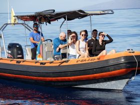 A cheerful group enjoys a sunny day on a boat, showcasing the perfect setting for ocean adventures and memorable experiences.