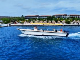 A speedboat named 'JORT' glides through vibrant blue waters, showcasing a scenic backdrop of tropical resorts and palm trees — perfect for exploring coastal destinations.
