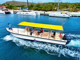 A lively scene of a boat in motion with passengers onboard, showcasing the excitement of a day on the water.