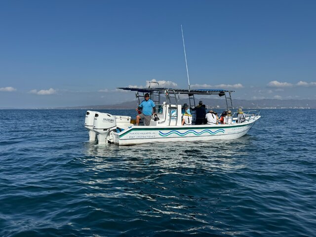 Listing image 1146976