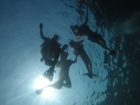A group of snorkelers enjoys an underwater adventure, capturing the thrill of exploring marine life beneath the surface.