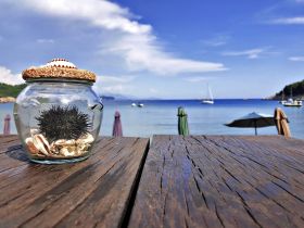 A decorative jar containing a sea urchin and shells sits on a wooden table with a beach view in the background, creating a serene coastal atmosphere.