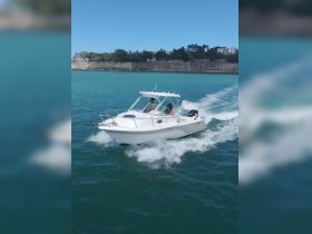 A speedboat glides through turquoise waters with two passengers enjoying the ride, showcasing the thrill of boating adventures.