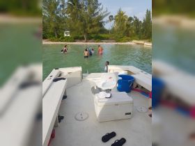 A lively group enjoys a fun day swimming in shallow waters, creating memorable moments at the beach.