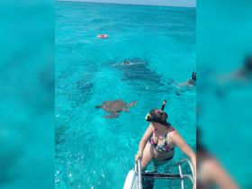A snorkeler interacts with a sea turtle in crystal-clear waters, showcasing a memorable wildlife experience in the ocean.