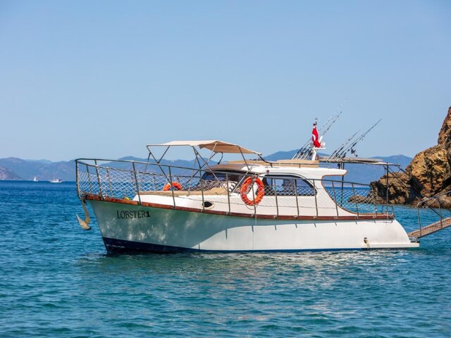 Listing image 1173954