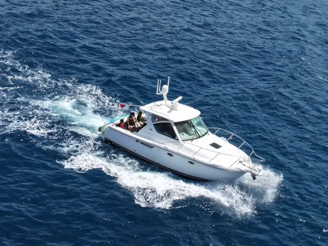 Listing image 1146632