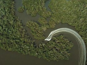 An aerial view captures a boat navigating through winding mangrove waterways, showcasing the beauty of nature and adventure on the water.