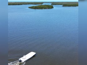 A sleek speedboat navigates through tranquil waters surrounded by lush mangroves, showcasing the beauty of a scenic waterway.