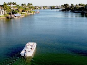 A group enjoys a leisurely ride on a boat through serene waters, surrounded by lush palm trees and beautiful waterfront homes, perfect for a relaxing day on the water.