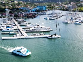 Aerial view of a bustling marina filled with various yachts and boats, showcasing the vibrant boating scene and beautiful coastal landscape.