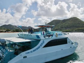 A couple enjoys the scenic view from the deck of the 'Flying Ray' boat, surrounded by lush hills and clear waters, perfect for exploring Martinique.