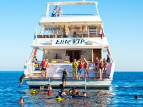 A lively group enjoys snorkeling and swimming around the Elite VIP boat, creating unforgettable memories in the sun-soaked waters.