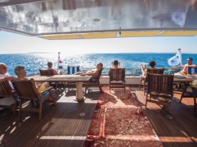 A group of friends relaxes on the deck of a boat, enjoying stunning ocean views and the warm sun — perfect for a leisurely day on the water.