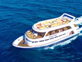 A vibrant yacht, the Elite VIP, cruises through the ocean with guests enjoying the sun on the deck — perfect for group outings and celebrations on the water.