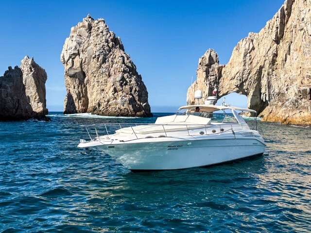 Listing image 1164759