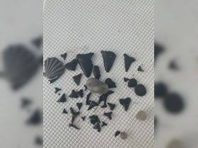 A collection of shark teeth and fossils displayed on a textured surface, perfect for beachcombing enthusiasts and marine life lovers.