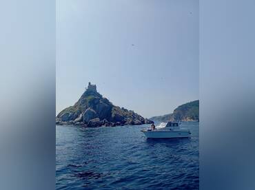 Rent a Boat – Ippocampo
