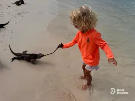 A child interacts with an iguana on the beach, showcasing a unique wildlife experience in a tropical setting.