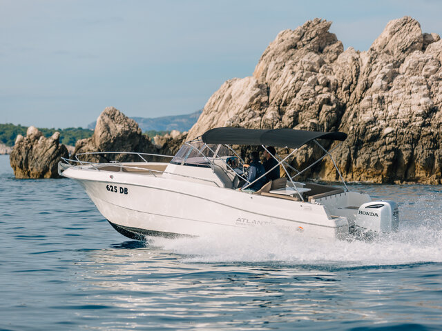 Listing image 1155039