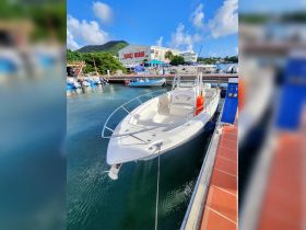 A sleek speedboat docked at a marina, showcasing its modern design against a vibrant backdrop of lush greenery and a clear blue sky.