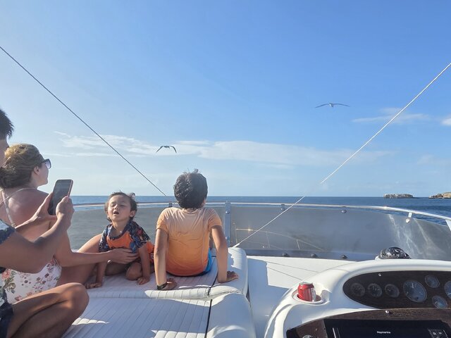 Listing image 1166818
