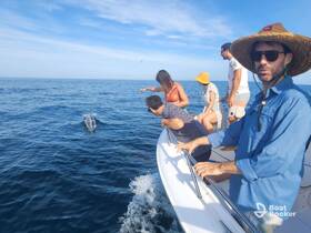 A group of friends excitedly watches dolphins swimming alongside their boat, capturing a thrilling wildlife encounter on the open water.
