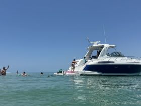 A lively group enjoys a fun day on the water, swimming and socializing around a boat — perfect for summer adventures and memorable outings.