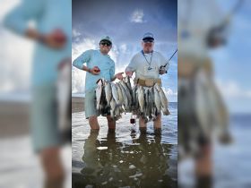 Two anglers proudly display their impressive catch of fish while wading in shallow water — a perfect moment celebrating a successful fishing trip.
