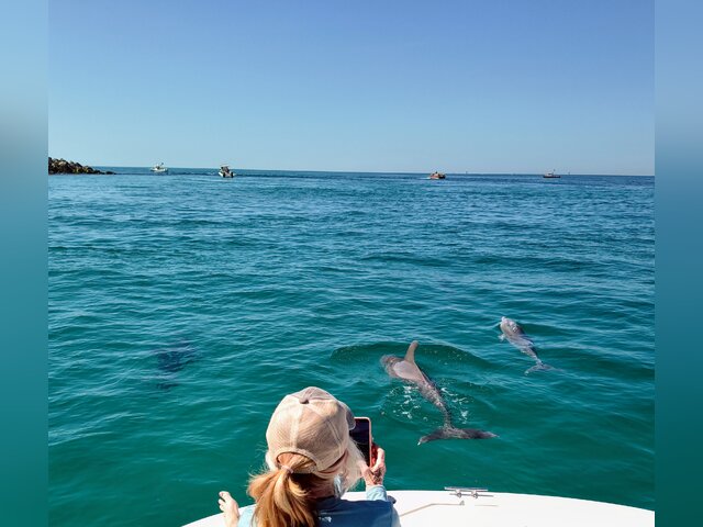 Listing image 1153573
