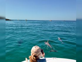 A woman captures a moment on her phone as dolphins swim alongside her boat, showcasing a delightful wildlife encounter in clear blue waters.
