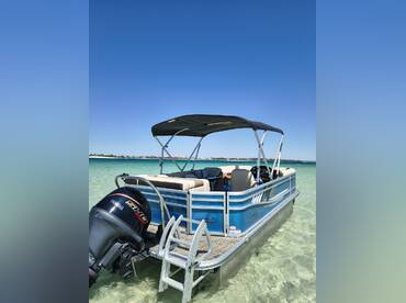 Exciting 2 Hour Dolphin Adventure