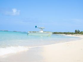 Charter Image