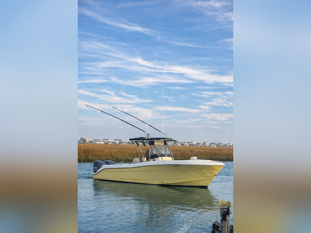 Listing image 1149605