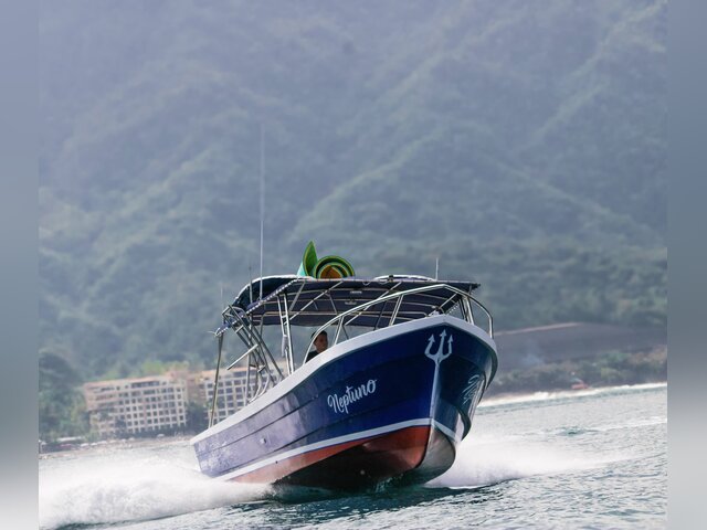 Listing image 1151728