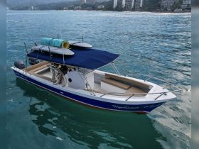 A sleek speedboat named 'Neptuno' glides through clear waters, showcasing its stylish design and spacious deck, perfect for a day on the water.