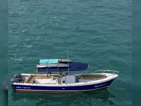 A sleek speedboat glides through clear waters, showcasing its stylish design and spacious deck, perfect for a day of adventure on the water.